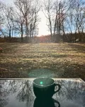 Cozy Catskills Cabin Pet-Friendly! - 3성급