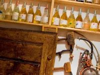 Hotel Blitzburg Hotels in Brunico