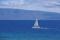 Maui Ocean Beach Front Amazing Views Summer Special 275 Nightly - Private Pools