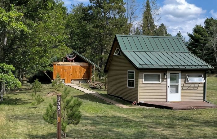 Tiny Cabin in Huron National Forest!