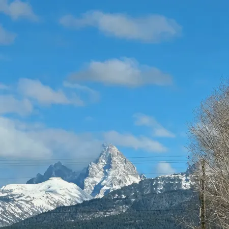 Escape to Teton Valley! Beautiful new 3-bedroom condo in charming Driggs, Idaho