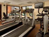 Drury Inn & Suites Phoenix Airport - Phòng tập thể hình