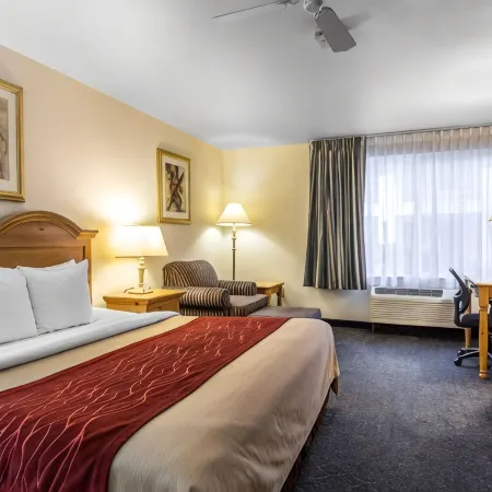 Comfort Inn & Suites Sequoia Kings Canyon