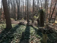 Mary's Country Cottage Escape - 3-Star
