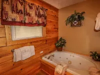 " Beary Cozy Cabin " - Private Pools
