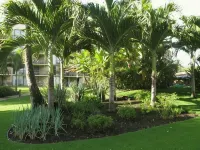 Beautiful Ocean View Maui Sunset Condo - B213 - Gym