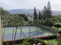 Beautiful, Family Friendly 2 Br 2Ba Across Street From Beach. - 2 Sao