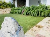 Beautifull Spot - Wifi