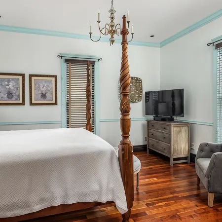 Gorgeous interior, walk to downtown, amazingly renovated historic 1901 house!