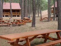 Circle Pine Ranch-"The Real Log Cabin Experience"