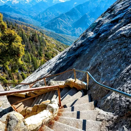Ash Mountain Suite 1 mile to Sequoia Natl Park!