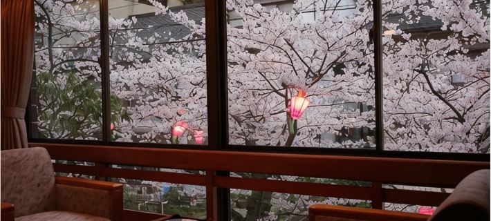 Sento Ryokan Hotels in Toyooka