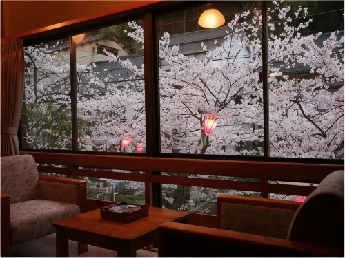 Sento Ryokan - Mountain view
