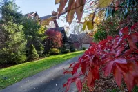 Highlands NC Mountain Lodge • Hot Tub • Game Room • Big Creek • Sleeps 14 - 3-Star