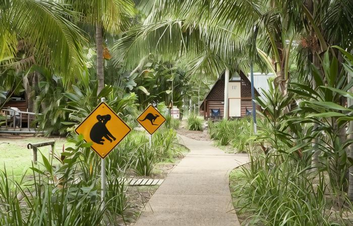 Bounce Magnetic Island and Koala Park - Formerly Roamer