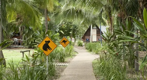 Bounce Magnetic Island and Koala Park - Formerly Roamer - Auberges de jeunesse