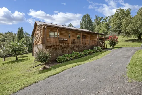Renovated/ 1mile to Dollywood/ 250ft parrot mt/ theater/wifi/8mile Gatlinburg - 4つ星