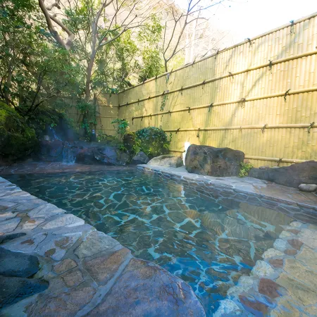 Motoyu Ryokan Atsugi Iiyama Onsen