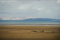 Xiyunzong Hotel (Nagqu Baingoin) - Cho phép mang theo thú cưng