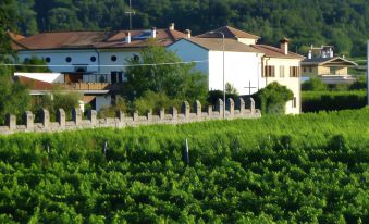 Agriturismo Grillo Iole Winery