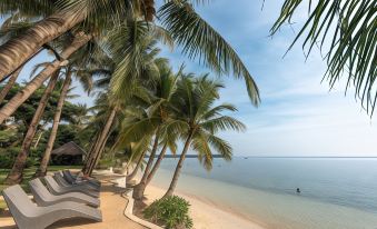 a serene beach scene with palm trees , a hammock , and a man swimming in the ocean at Siargao Island Villas