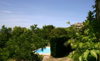 Cosy Villa with Pool Near the Village of Gordes - by Feelluxuryholidays