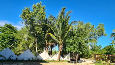 Blue Pagoda Rooms
