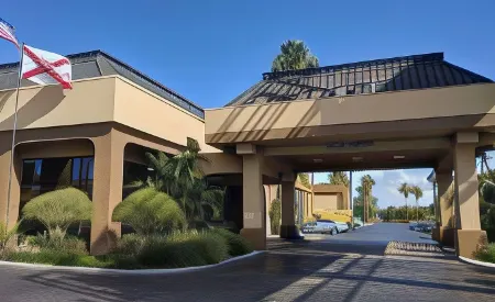 Orlando Palms