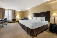 Comfort Inn International Drive
