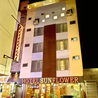 Hotel Sunflower Udaipur Hotels near محطة سكة حديد أودايبور
