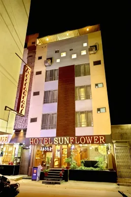 Hotel Sunflower Udaipur - 3-نجوم