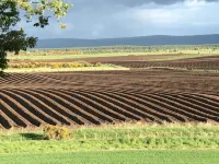 Broomlea Hotels in Cromarty