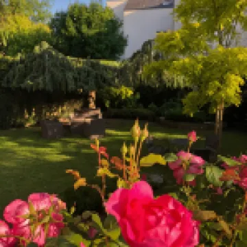 Hotel des Cedres