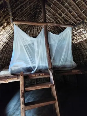 Mida Creek Eco Camp - Lodge