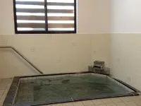 Lodge Matsuya
