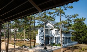 Thuy Hoang Nguyen Resort & Spa
