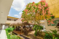Hotel Ancor Hotel a 