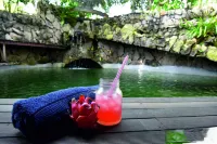 Bukit Raya Guesthouse - piscina