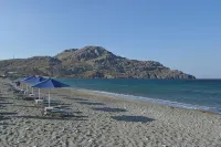 Anna Ageliki