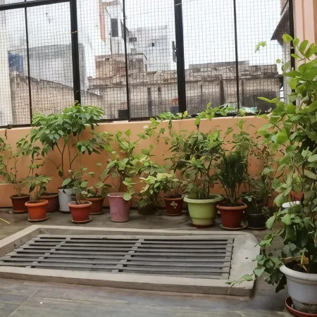 Mother Hostel