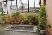 Mother Hostel Hotels in 
