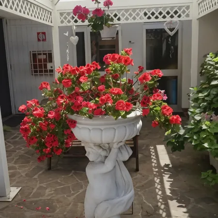 Hotel Diga