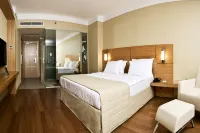 Anemon Grand Malatya Otel Hotels in Malatya