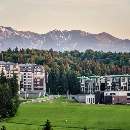 Silver Mountain