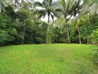 Wait-a-While Eco Retreat Hotels in Daintree
