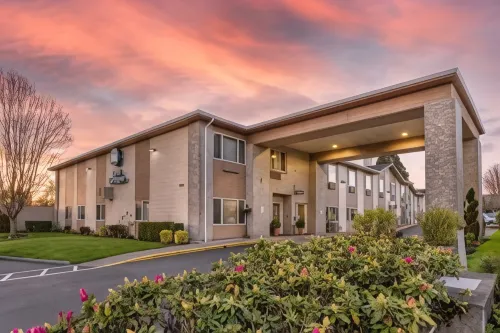 Best Western Newberg Inn - Wifi