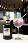 OSKO Hotel Toulouse Airport - bar
