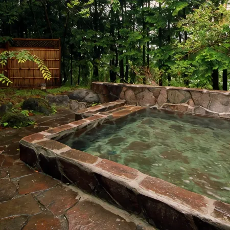 Nikko onsen-Hotel Kosho