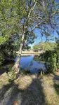 Great accomodation within walking distance of Port Richey atractions. - Bungalows