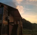 - Hedong Hongzhilv Farm